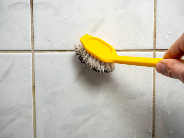 Best Home Mold Removal  in Robins Af, GA