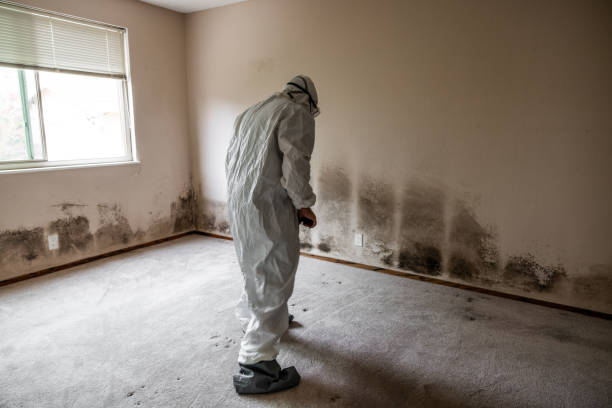 Water Damage Restoration in Robins Af, GA